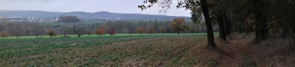 Od Dubu přes úbočí Jinošova zpět k Vlašimi